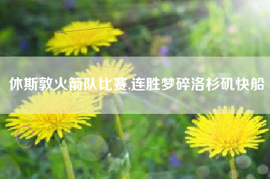 休斯敦火箭队比赛,连胜梦碎洛杉矶快船