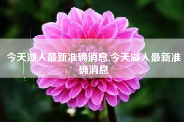 今天湖人最新准确消息,今天湖人最新准确消息