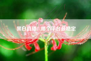 黑白直播f1,哪个平台最稳定