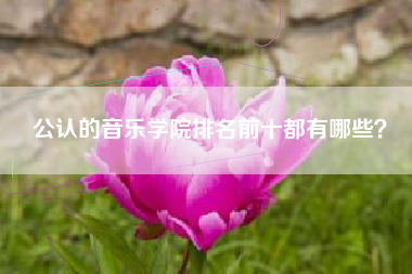 公认的音乐学院排名前十都有哪些?