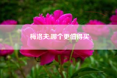 梅洛夫,哪个更值得买