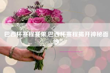 巴西杯赛程赛果,巴西杯赛程揭开神秘面纱