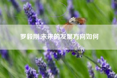 罗毅刚,未来的发展方向如何