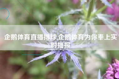 企鹅体育直播排球,企鹅体育为你奉上实时播报