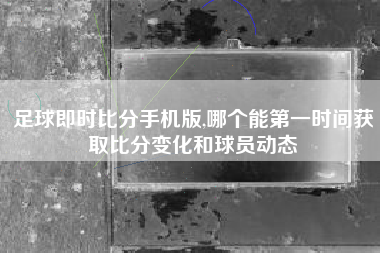 足球即时比分手机版,哪个能第一时间获取比分变化和球员动态