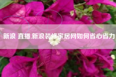 新浪 直播,新浪装修家居网如何省心省力