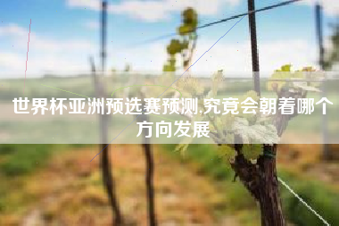 世界杯亚洲预选赛预测,究竟会朝着哪个方向发展