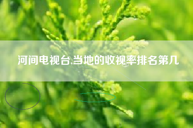河间电视台,当地的收视率排名第几