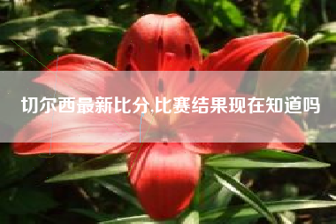 切尔西最新比分,比赛结果现在知道吗