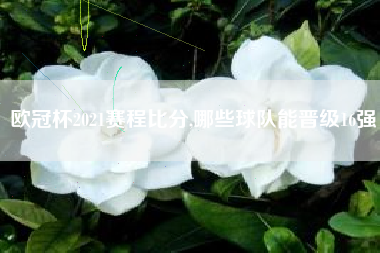 欧冠杯2021赛程比分,哪些球队能晋级16强