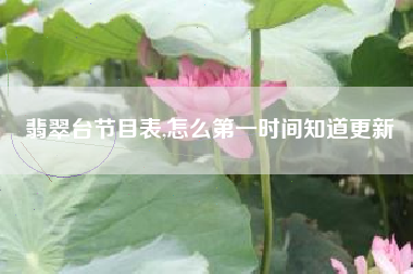 翡翠台节目表,怎么第一时间知道更新