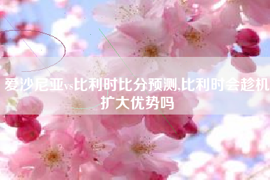 爱沙尼亚vs比利时比分预测,比利时会趁机扩大优势吗