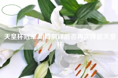 天皇杯冠军,川崎前锋能否再次捧起天皇杯