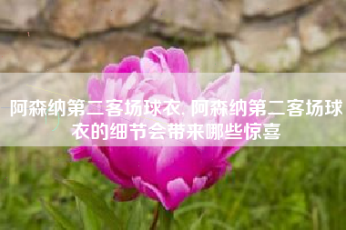 阿森纳第二客场球衣, 阿森纳第二客场球衣的细节会带来哪些惊喜