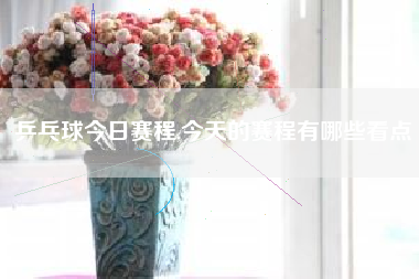 乒乓球今日赛程,今天的赛程有哪些看点