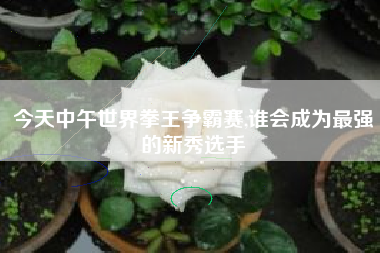 今天中午世界拳王争霸赛,谁会成为最强的新秀选手