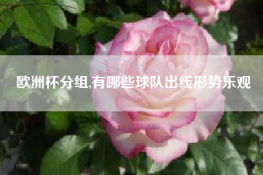 欧洲杯分组,有哪些球队出线形势乐观