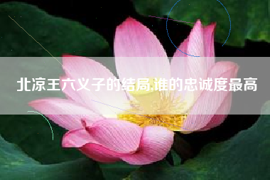 北凉王六义子的结局,谁的忠诚度最高
