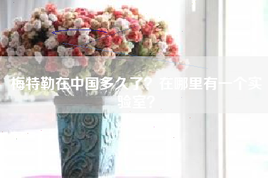 梅特勒在中国多久了?在哪里有一个实验室?