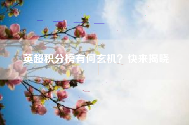 英超积分榜有何玄机?快来揭晓