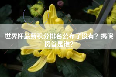 世界杯最新积分排名公布了没有?揭晓榜首是谁?