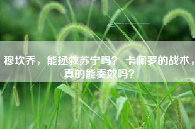 穆坎乔,能拯救苏宁吗? 卡佩罗的战术,真的能奏效吗?