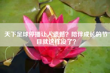 天下足球停播让人遗憾?陪伴成长的节目就这样没了?