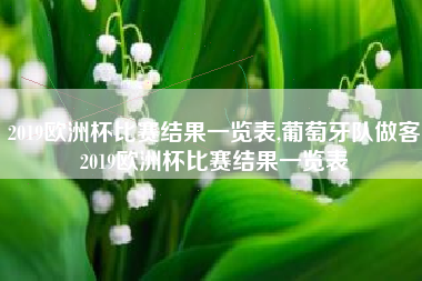 2019欧洲杯比赛结果一览表,葡萄牙队做客2019欧洲杯比赛结果一览表