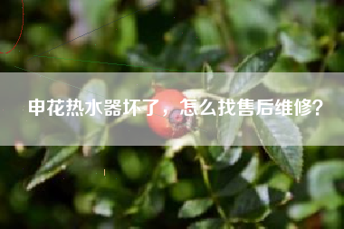 申花热水器坏了,怎么找售后维修?