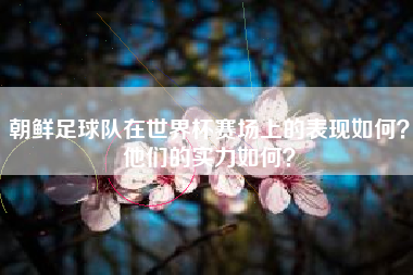 朝鲜足球队在世界杯赛场上的表现如何?他们的实力如何?