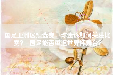 国足亚洲区预选赛,球迷该如何关注比赛? 国足能否重返世界杯舞台?