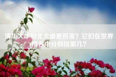 清华大学和北大谁更厉害?它们在世界排名中分别排第几?