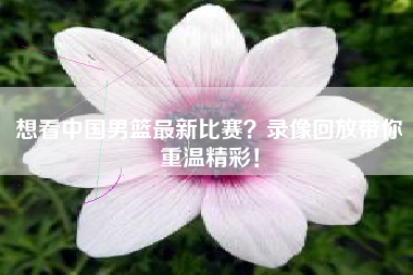 想看中国男篮最新比赛?录像回放带你重温精彩!