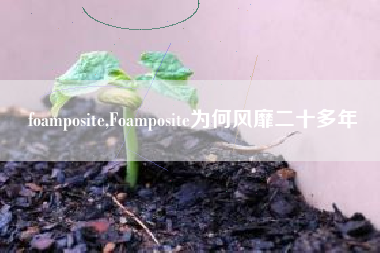 foamposite,Foamposite为何风靡二十多年