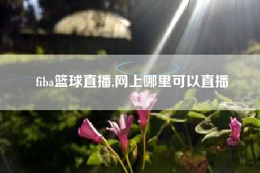 fiba篮球直播,网上哪里可以直播