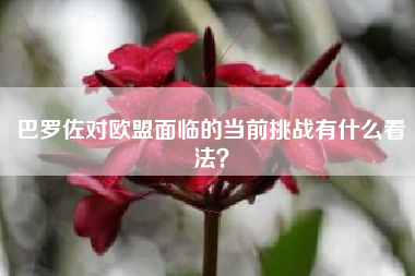 巴罗佐对欧盟面临的当前挑战有什么看法?