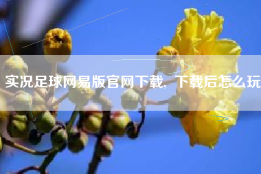 实况足球网易版官网下载, 下载后怎么玩