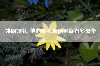 姚明婚礼, 他的婚礼现场到底有多豪华