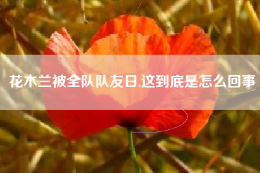 花木兰被全队队友日,这到底是怎么回事