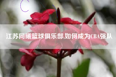 江苏同曦篮球俱乐部,如何成为CBA强队
