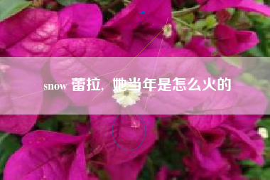snow 蕾拉, 她当年是怎么火的
