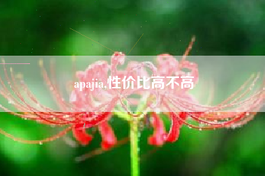 apajia,性价比高不高