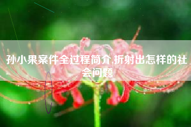 孙小果案件全过程简介,折射出怎样的社会问题