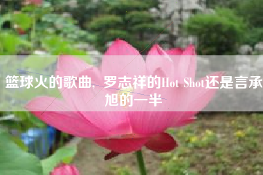 篮球火的歌曲, 罗志祥的Hot Shot还是言承旭的一半