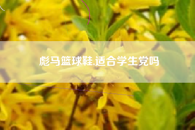 彪马篮球鞋,适合学生党吗