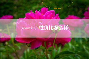 zoomair, 性价比怎么样