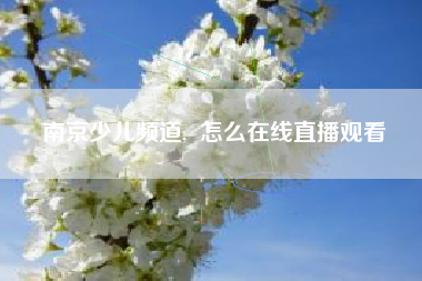 南京少儿频道, 怎么在线直播观看