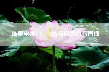 临泉电视台, CCTV节目官网有直播