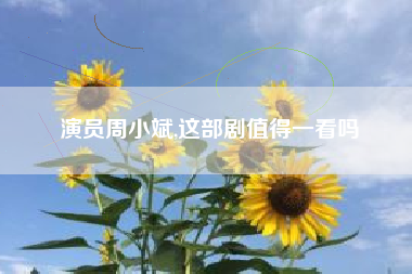 演员周小斌,这部剧值得一看吗