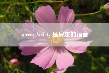 aircity,AirCity 是房东的福音